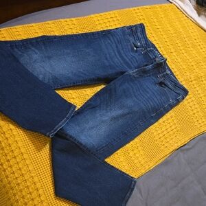 American Eagle Outfitters Dark Blue Straight Jeans